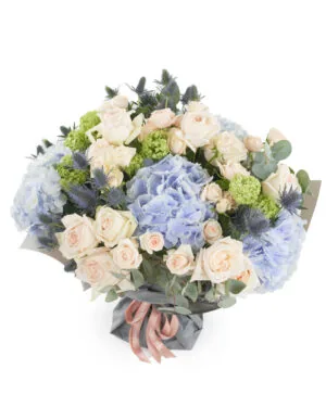 ORION BLUE SUPERB JUNE 6, 2023 15