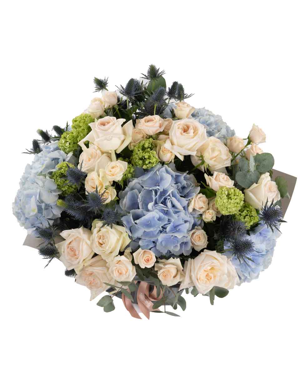 ORION BLUE SUPERB JUNE 6, 2023 15 top ORION BLUE SUPERB JUNE 6, 2023 15 top