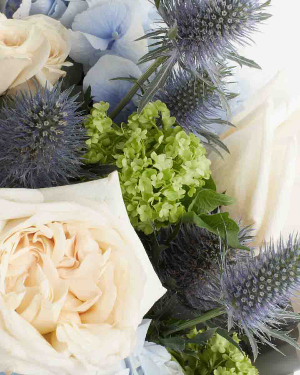 ORION BLUE SUPERB JUNE 6, 2023 15 2 ORION BLUE SUPERB JUNE 6, 2023 15 2