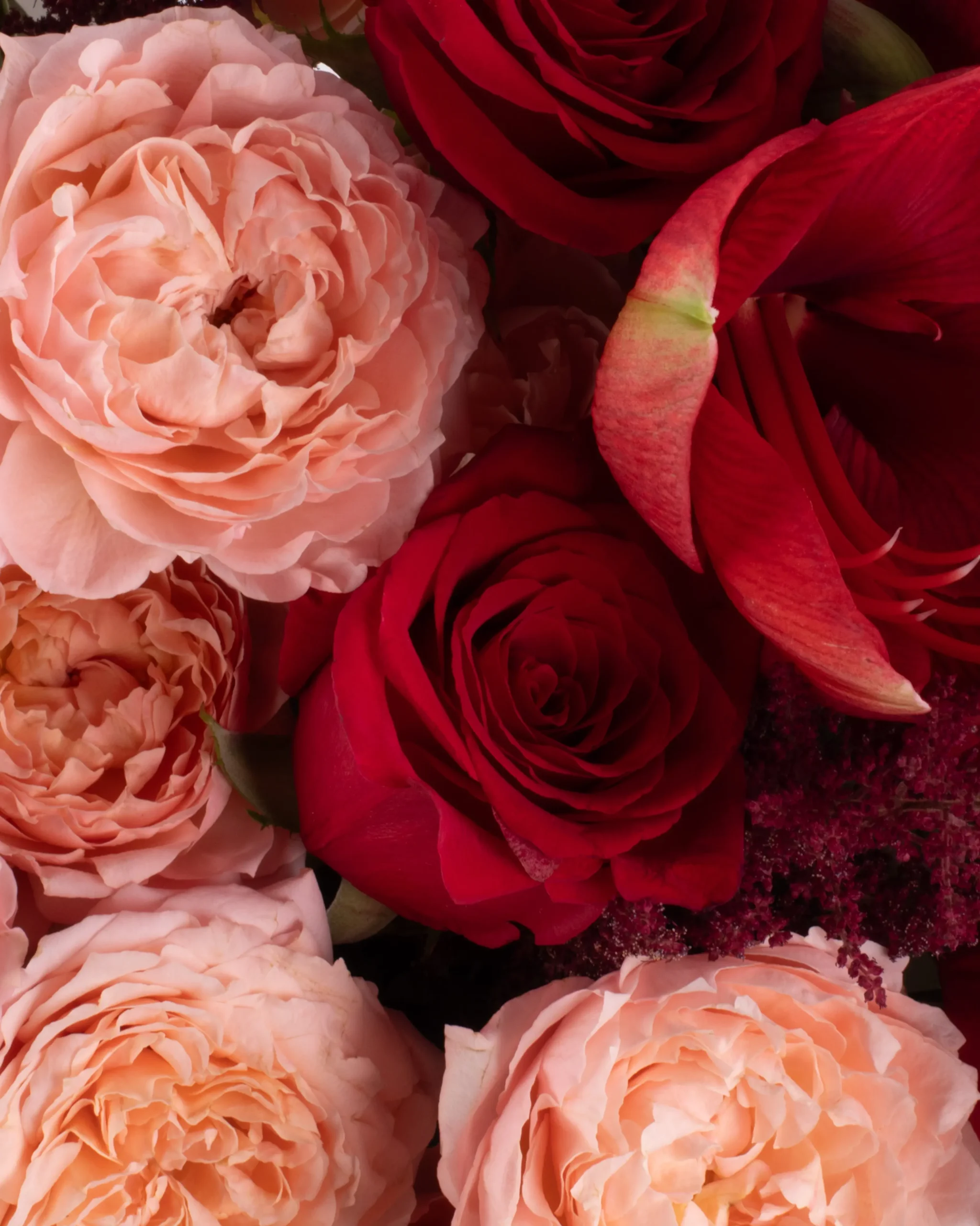 REMEMBER LOVE IMPRESSIVE CLOSEUP