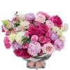 love kiss superb 2025 love kiss superb 2025