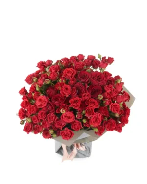 ruby red impressive JUNE 14, 2025 3