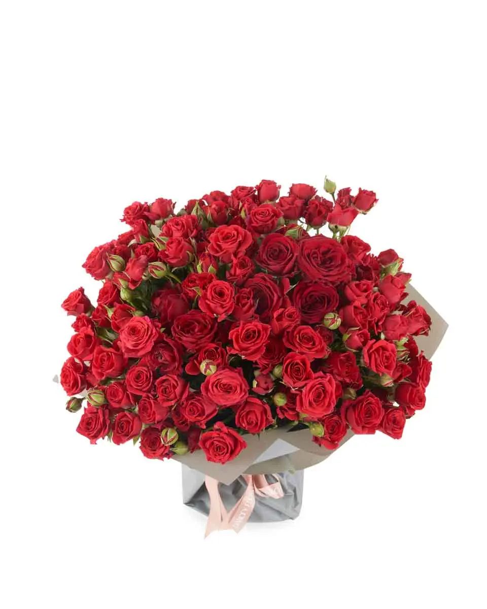 ruby red impressive JUNE 14, 2025 3