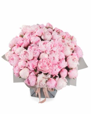 101 PEONIES ONE SIZE JUNE 7, 2023