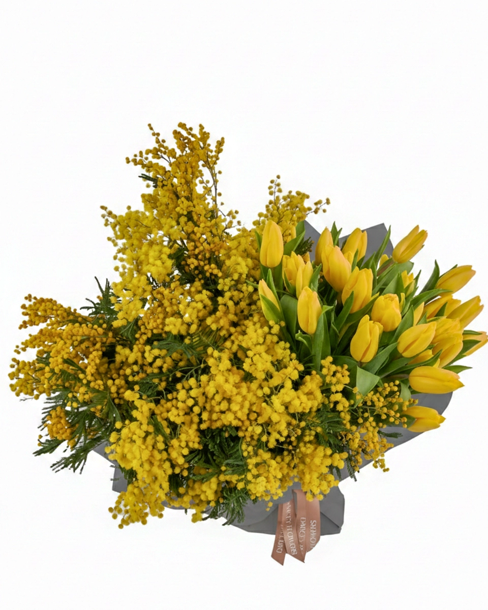 BELLA DONNA TOP MAIN SUPERB BELLA DONNA TOP MAIN SUPERB