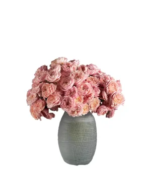 BLOOMING JULIETA 2025