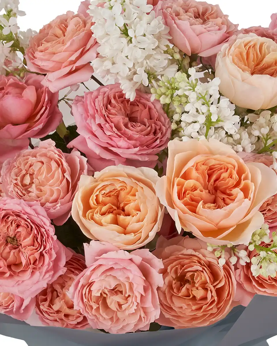 Love Luliet IMPRESSIVE Details2