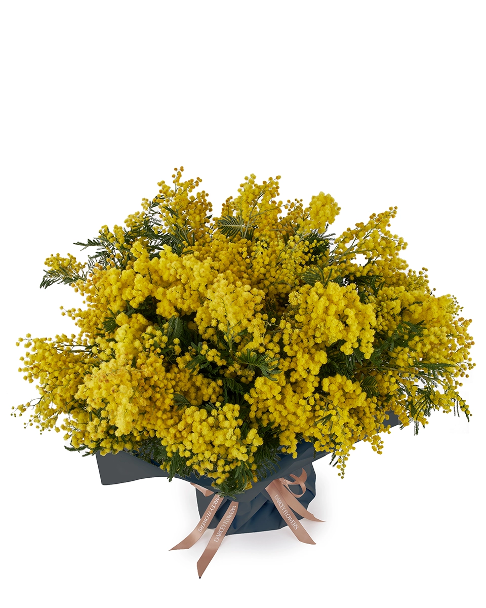 MIMOSA GRANDE FRONT ONE SIZE Front MIMOSA GRANDE FRONT ONE SIZE Front