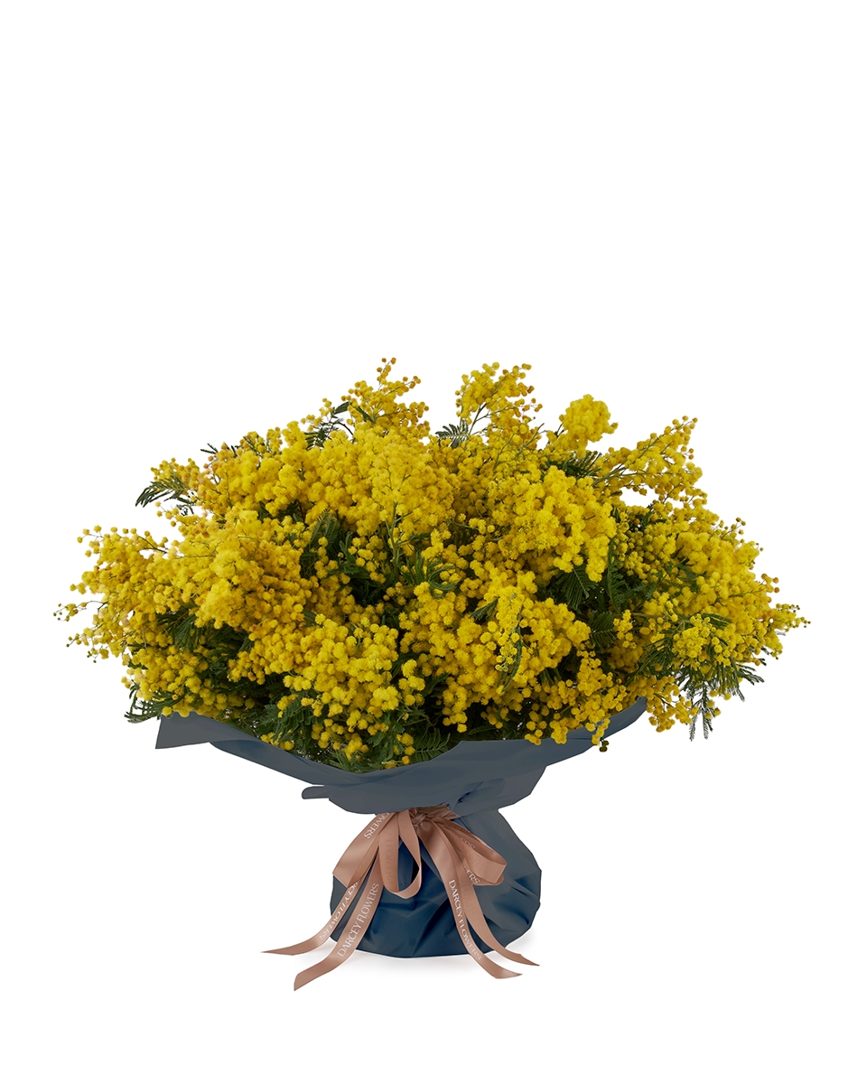 MIMOSA GRANDE FRONT ONE SIZE MIMOSA GRANDE FRONT ONE SIZE