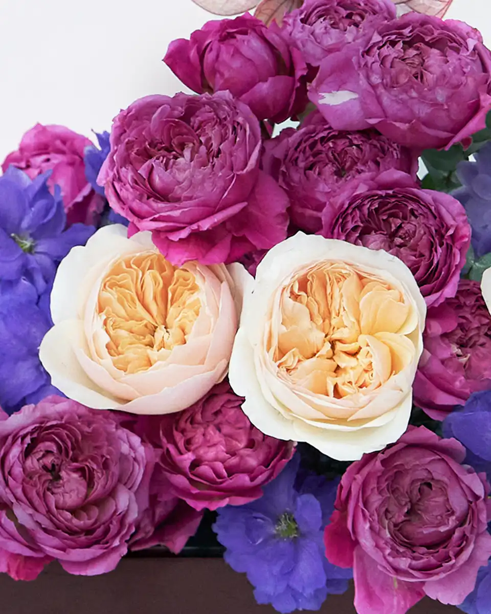 MOM’S FAVORITE 5 2025 MOM’S FAVORITE 5 2025