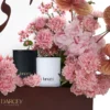 PERFECT GIFT 3 2025 PERFECT GIFT 3 2025