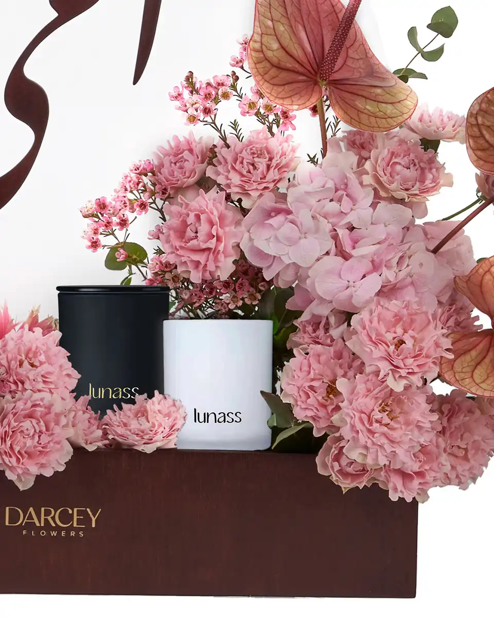 PERFECT GIFT 3 2025 PERFECT GIFT 3 2025