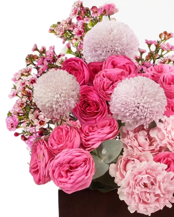PINK SERENADE 5