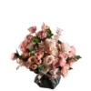 Peach Dream Superb 2025 Peach Dream Superb 2025