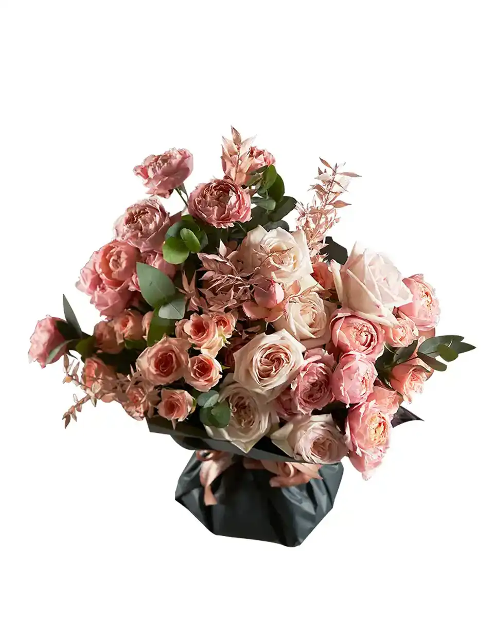 Peach Dream Superb 2025 2