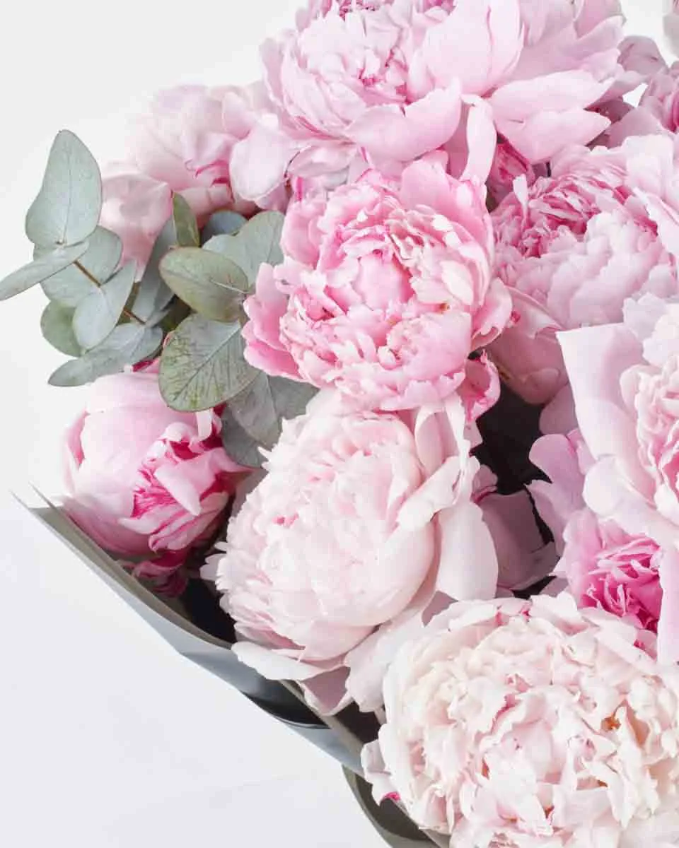 SARAH MY LOVE SUPERB JUNE 8, 2025