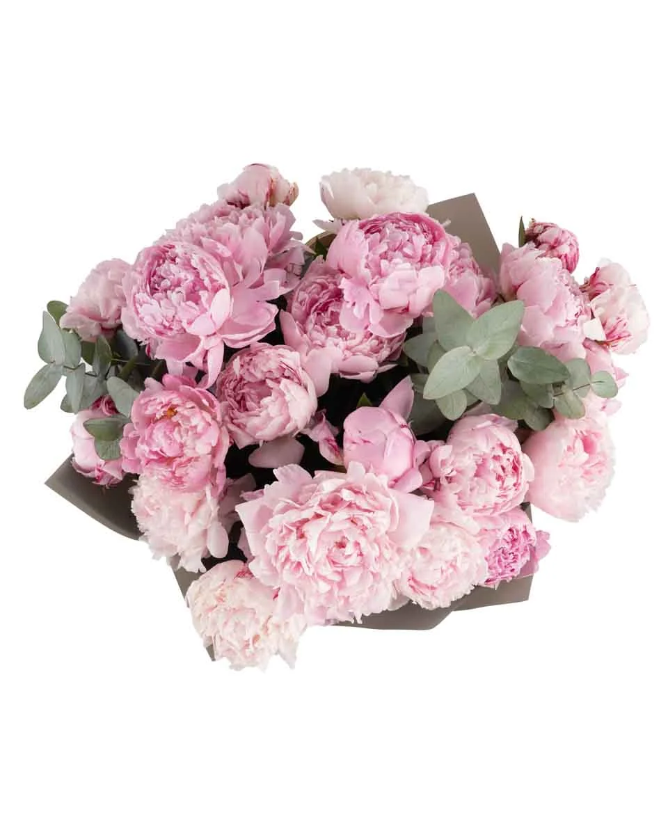 SARAH MY LOVE SUPERB JUNE 8, 2025 top