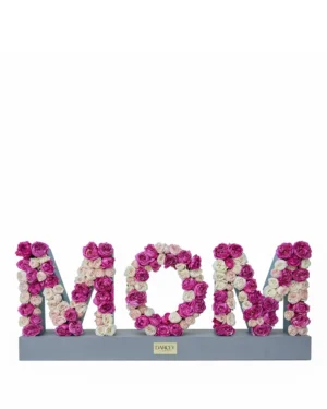 Surprise For Mom 2025