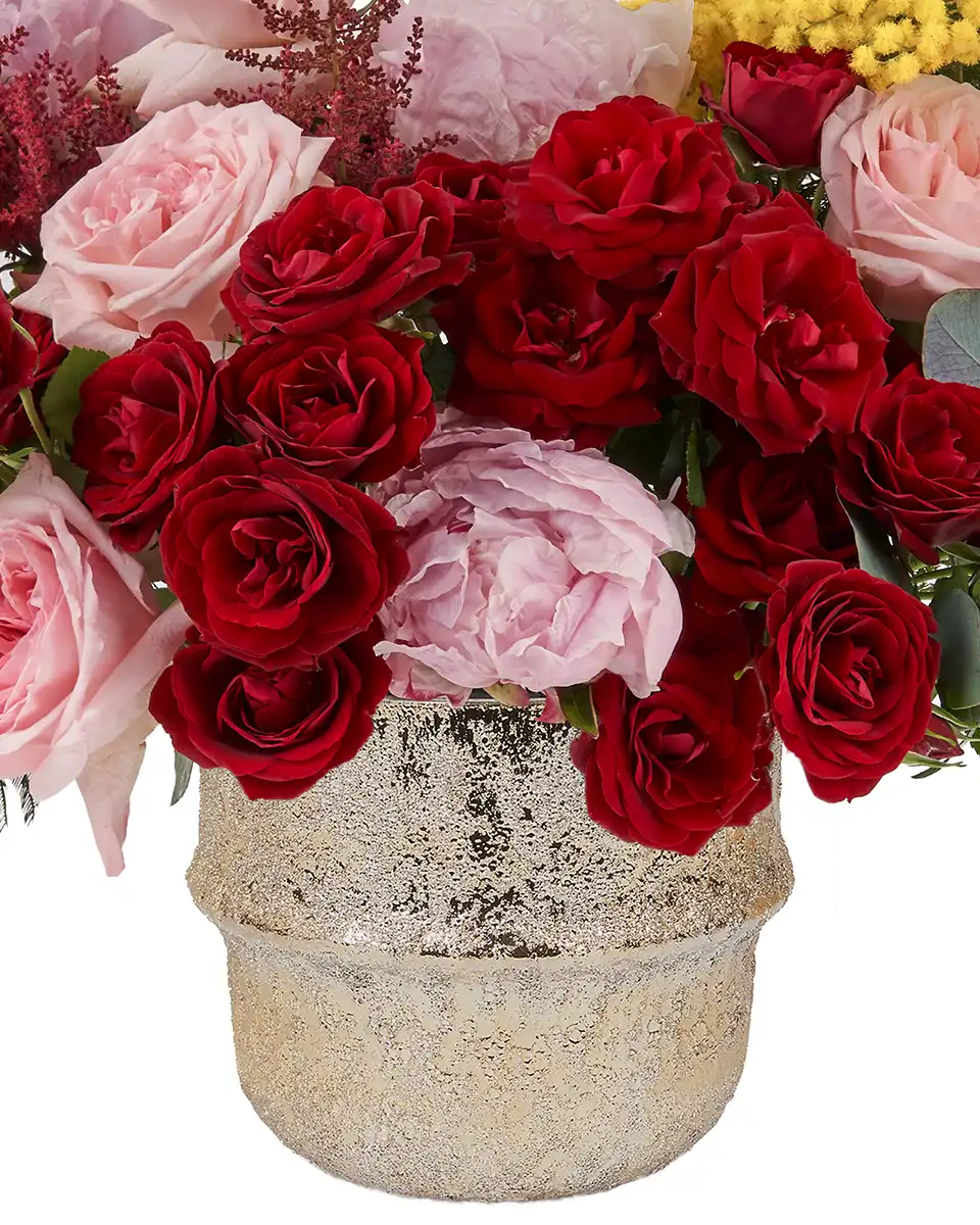 Touch Of Mimosa 16 Jan 2026 Edit Details 2