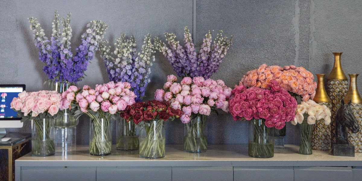 Why Choose Darcey Flowers