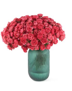 Bold and Beautiful JUNE 16, 2023