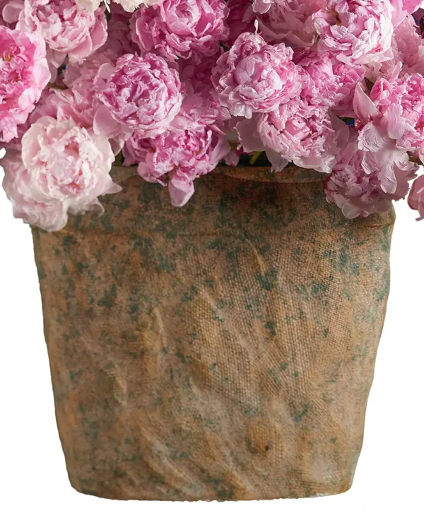 PEONY PERFECTION 1 2025