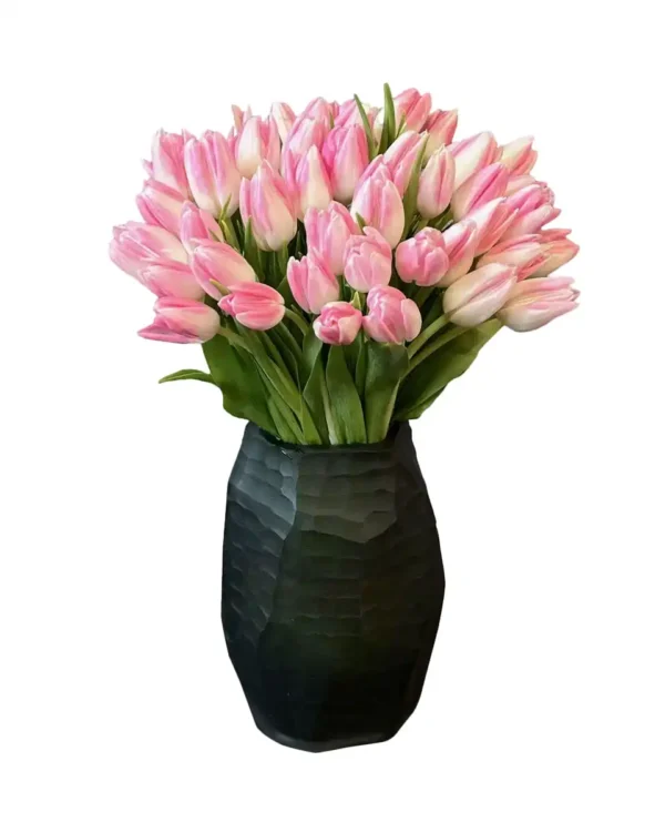 Tulip Forever 1