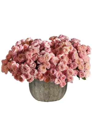 MESMERIZING JULIETA Edited White