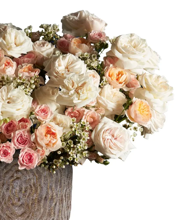 ROYAL PEACH 4 2025 White