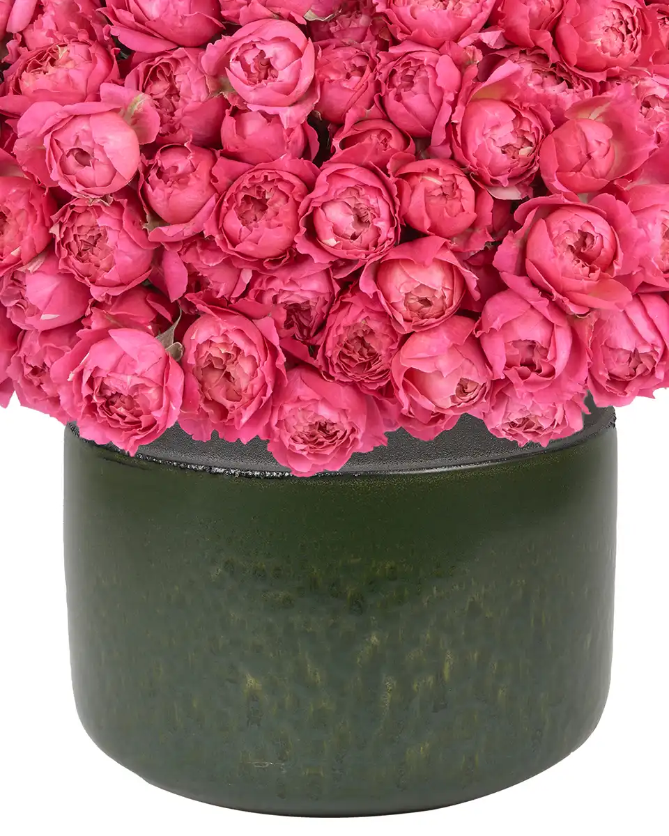 Your Love Cerise 27 May 2025 Close