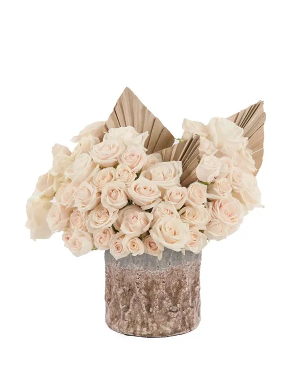 Café Au Lait 29 July 2025