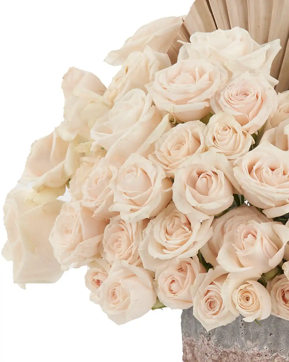 Café Au Lait 29 July 2025 Side