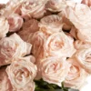 MISS DAINTY EDIT COLOR OF FLOWER TO PINKISH details 2 MISS DAINTY EDIT COLOR OF FLOWER TO PINKISH details 2