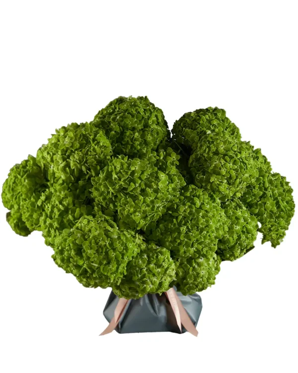 Apple Dapple SUPERB edited