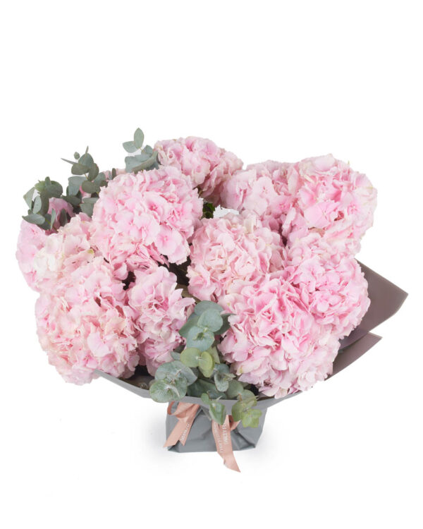 FLUFFY VERENA PINK SUPERB JUNE 5, 2023 10