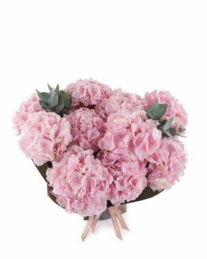 Fluffy Verena Pink impressive JUNE 9, 2023