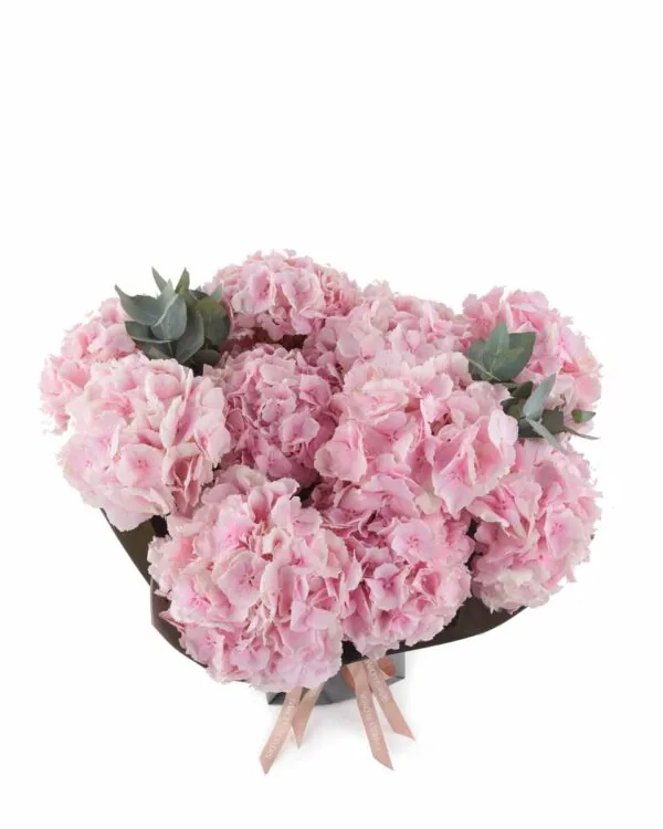 Fluffy Verena Pink impressive JUNE 9, 2023