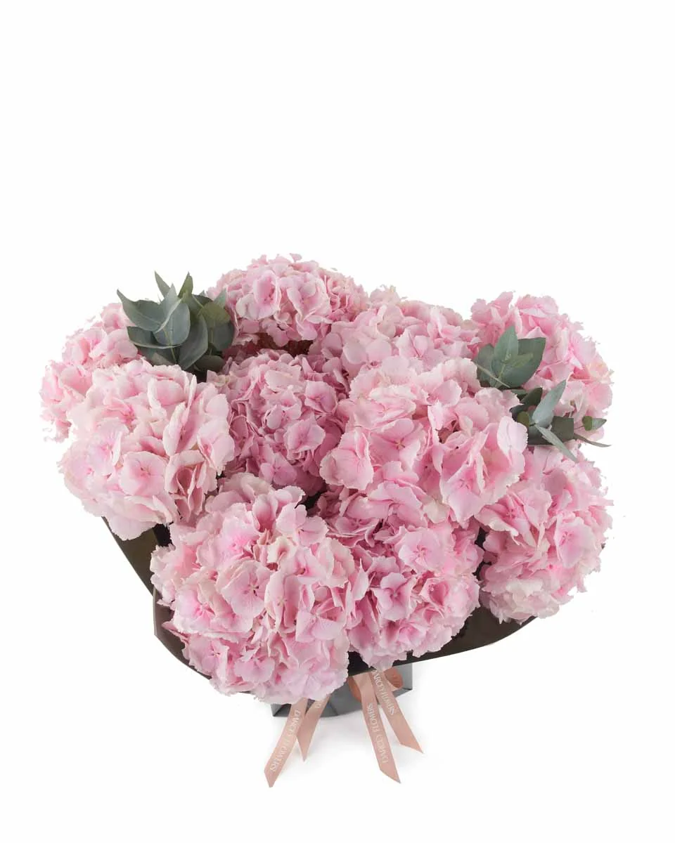 Fluffy Verena Pink impressive JUNE 9, 2023