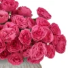 Charming Giselle 2025 Details 3 Edited 3 Sep Charming Giselle 2025 Details 3 Edited 3 Sep