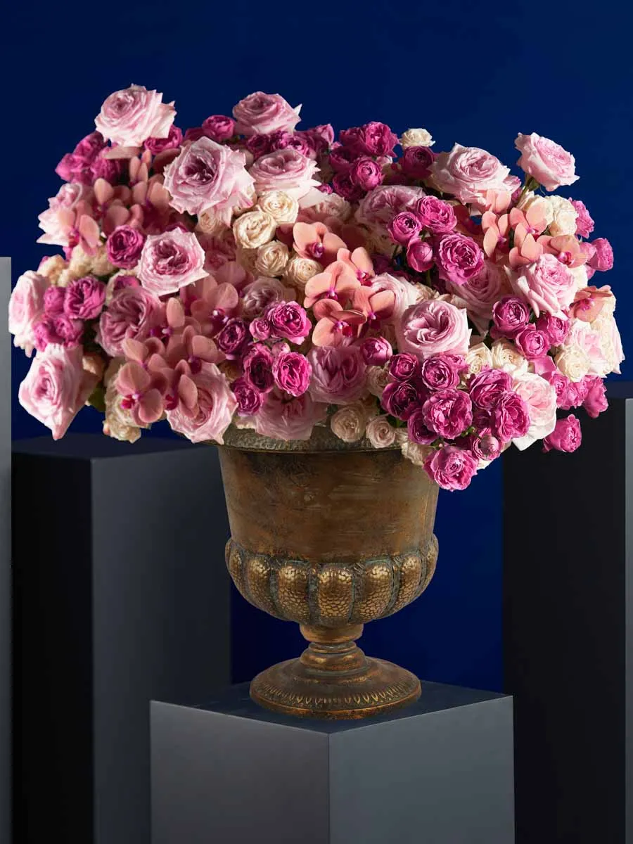 DARCEY CHOICE Edited 3Sep