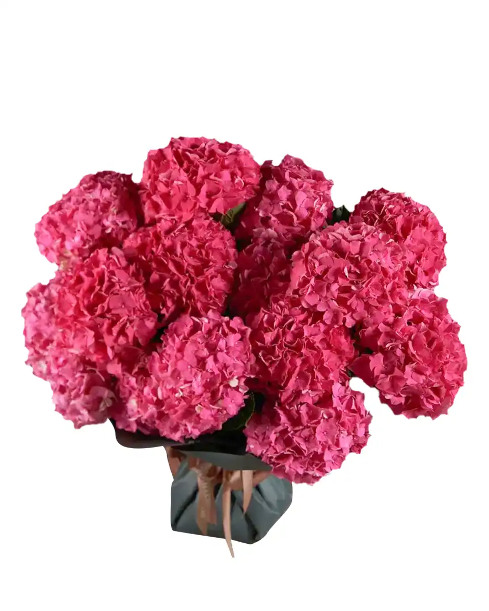 Hydrangea Madness Superb Edited1 Hydrangea Madness Superb Edited1