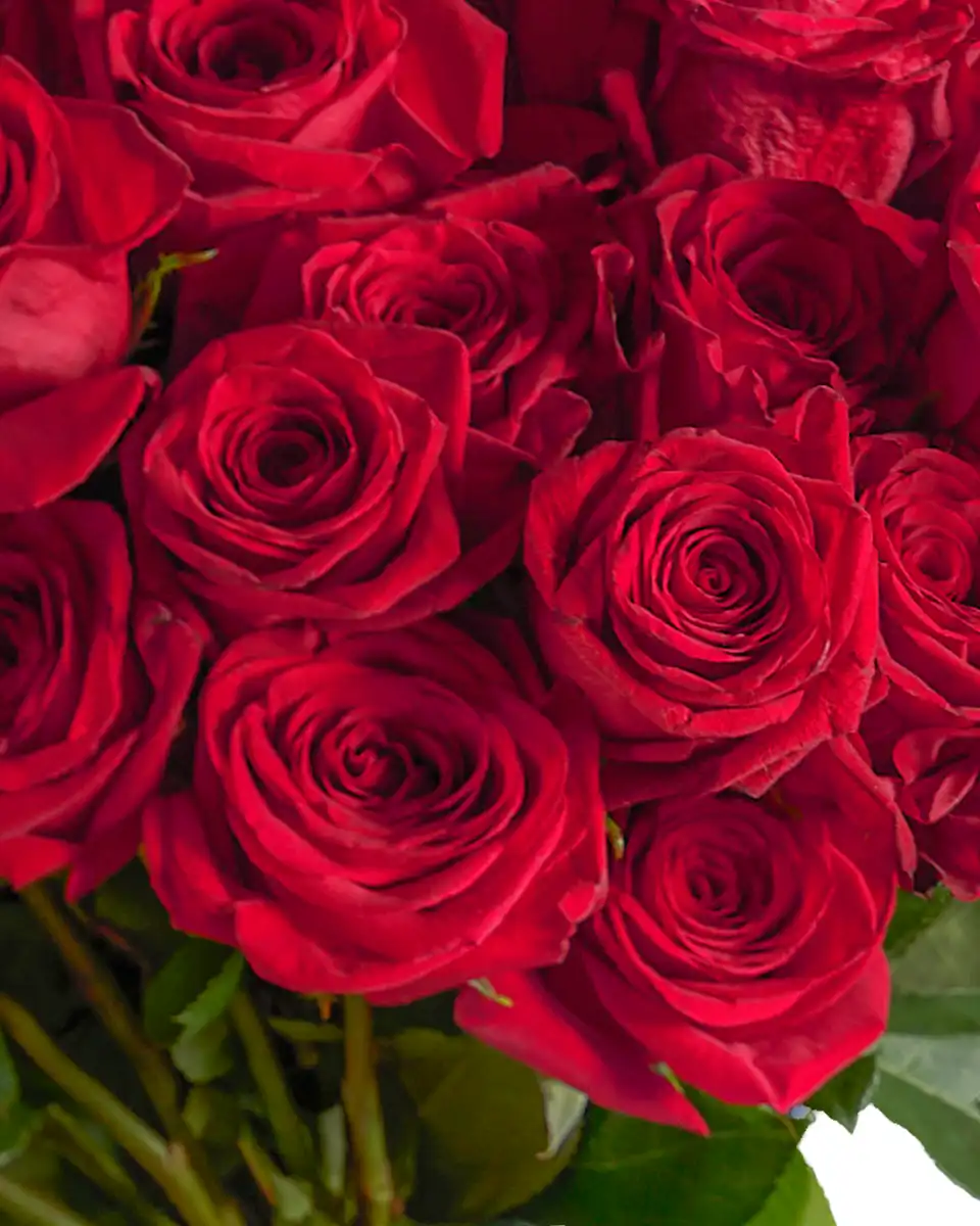 My Endless Love Edited 2