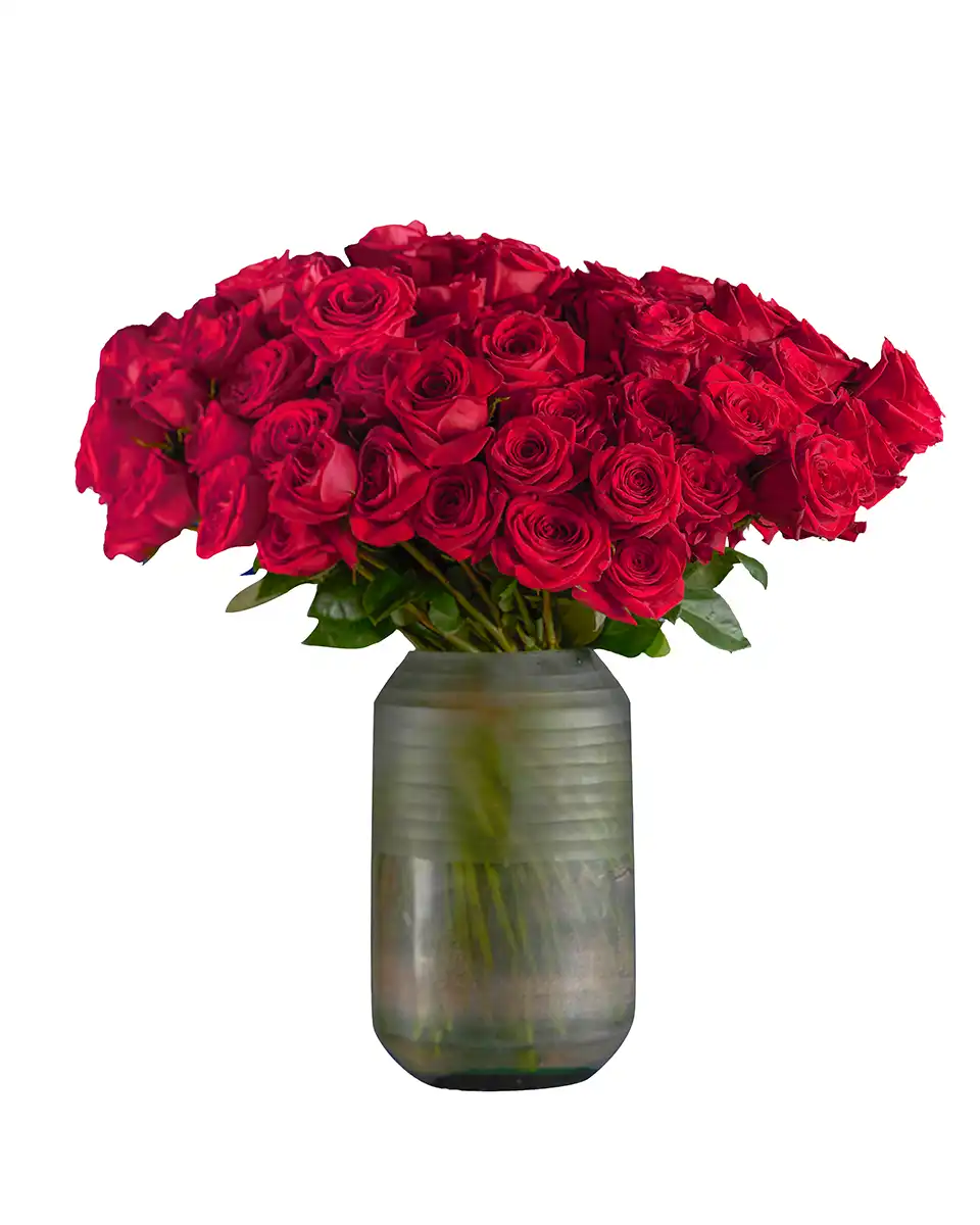 My Endless Love Edited