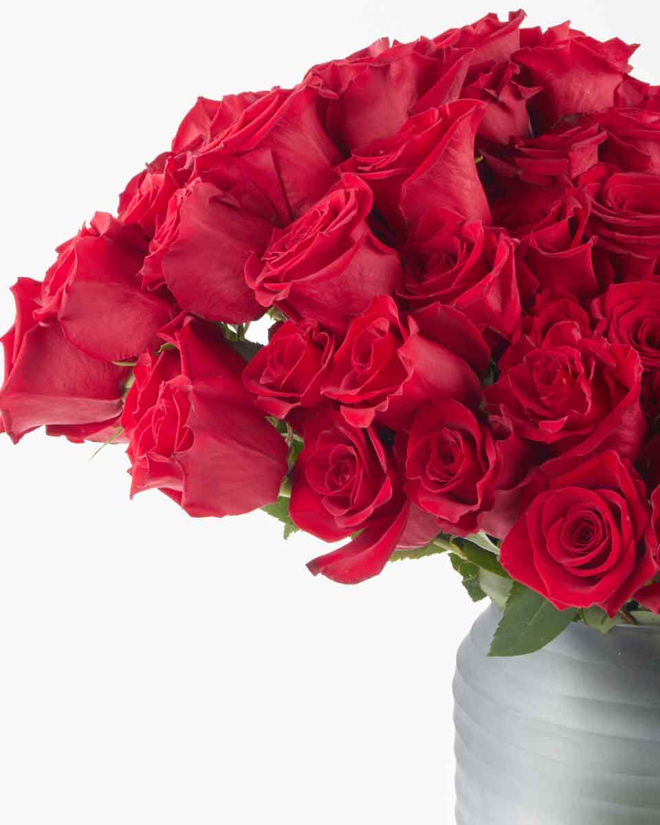 My Endless Love JUNE 16, 2023