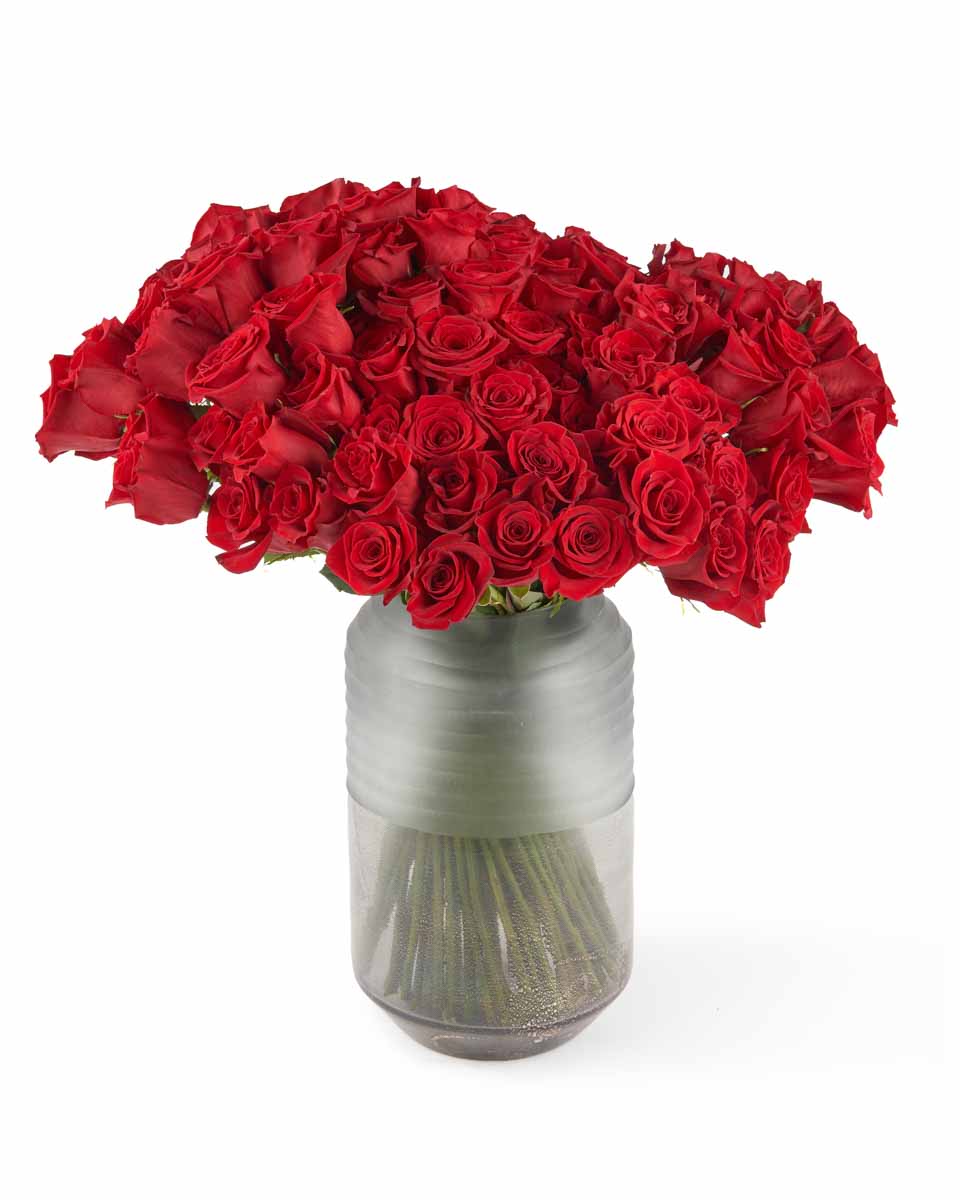 My Endless Love JUNE 16, 2023