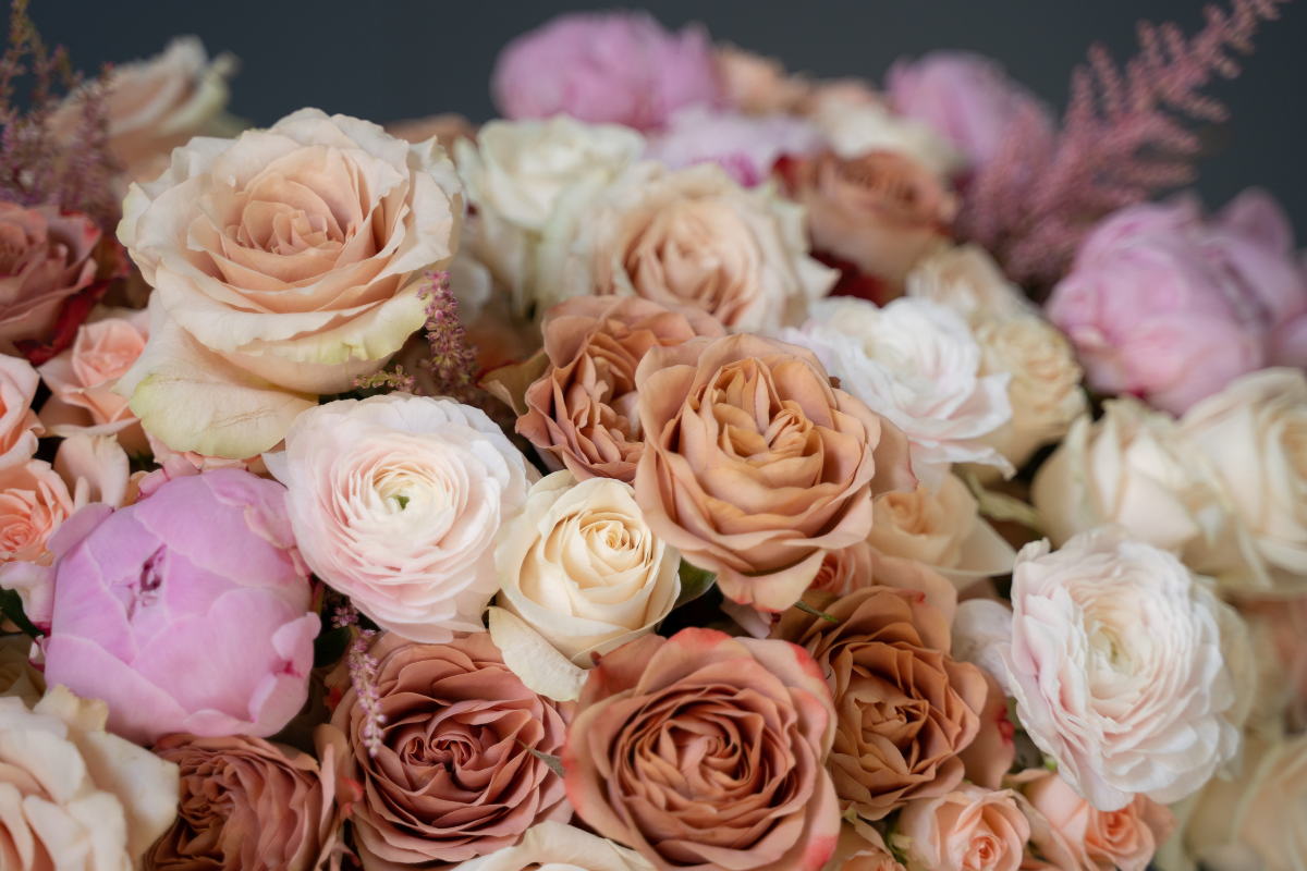 The Autumn Colour Palette