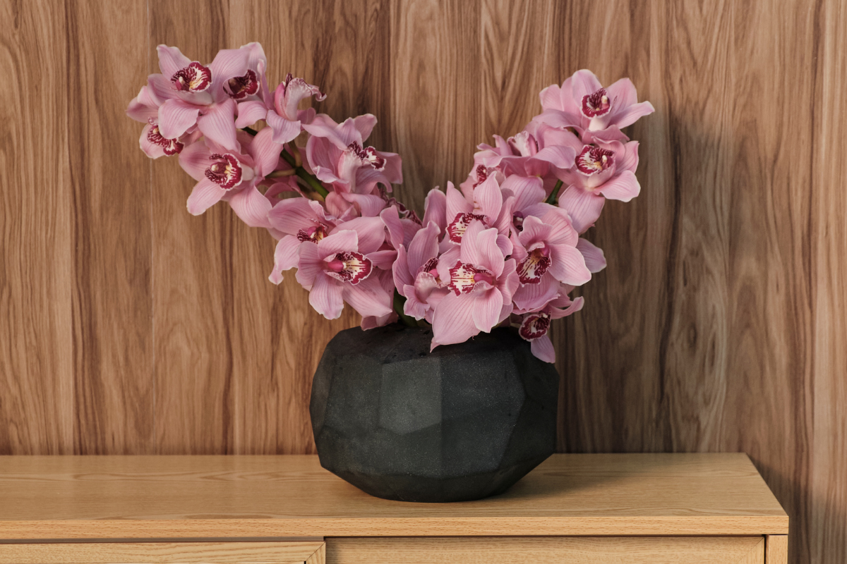The Orchid