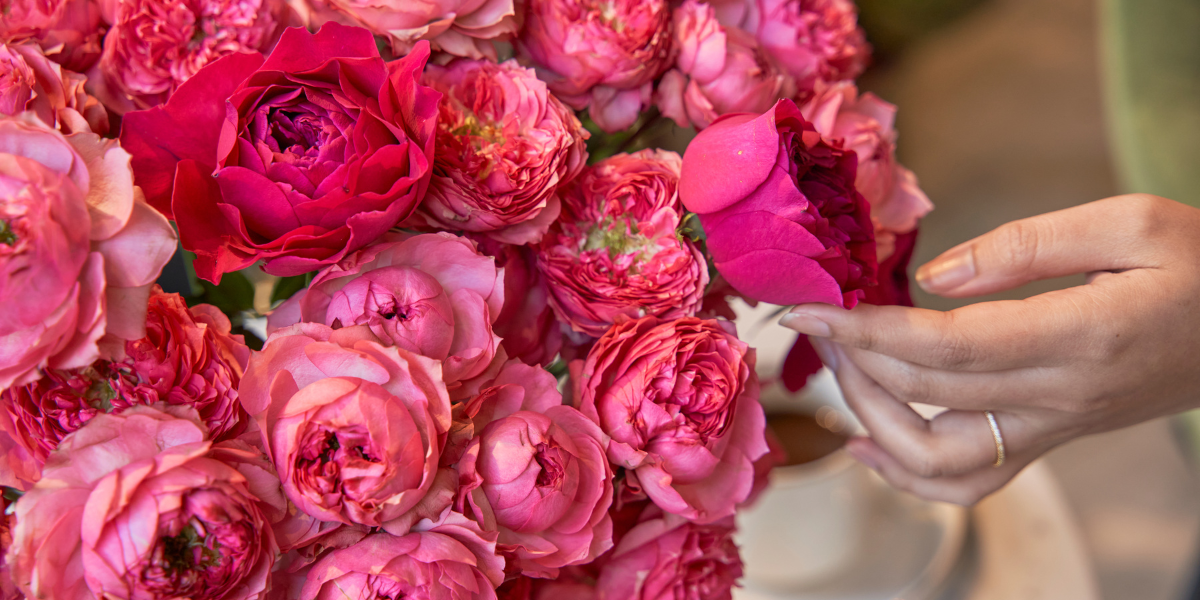 What Your Favorite Flower Says About You A Personality Guide