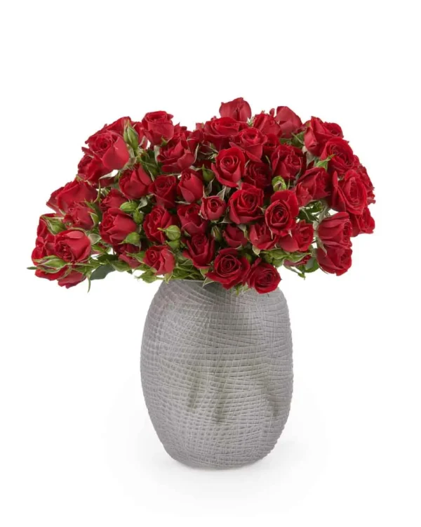 Cherry Red Oct 2025