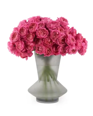 Crazy for Cerise Oct 2025